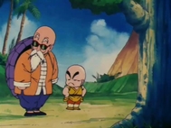 Dragon Ball Clássico Dublado Episodio 16 Online