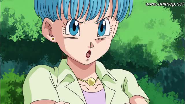 Dragon Ball Super Dublado Episodio 16 Online