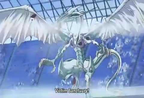Yu-Gi-Oh! 5D's Episódio 24 Online