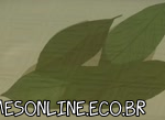 Sword Art Online