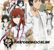 Steins Gate Fuka Ryouiki no Deja vu