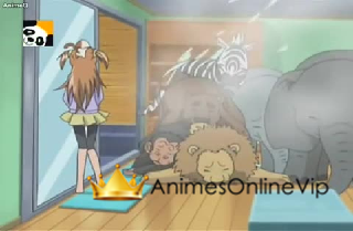 Kirarin☆Revolution Dublado Episódio 45