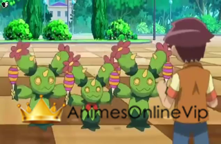 Pokémon Best Wishes! - Episódio 55
