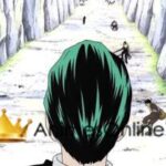 One Piece Dublado