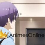 Tonikaku Kawaii Dublado