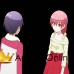 Tonikaku Kawaii Dublado