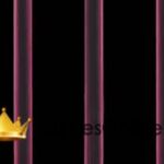 One Piece Dublado