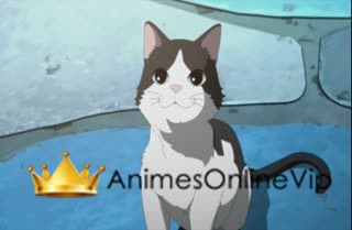 Boruto: Naruto Next Generations - Episódio 259
