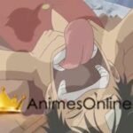 One Piece Dublado