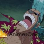 One Piece Dublado