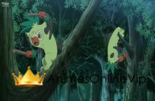 Pokemon (2019)  Dublado - Episódio 101