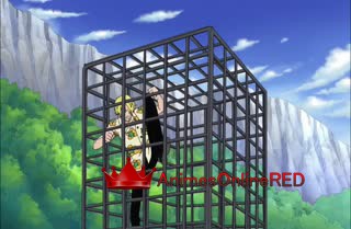 One Piece Dublado - Episódio 428