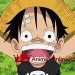 One Piece Dublado
