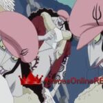 One Piece Dublado