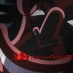 One Piece Dublado