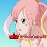 One Piece Dublado