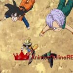 One Piece Dublado