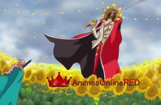 One Piece Dublado - Episódio 695