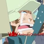 One Piece Dublado