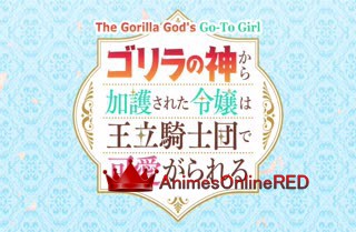 Gorilla no Kami - Episódio 10