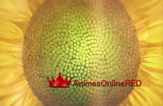 Kowloon Generic Romance - Episódio 10