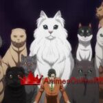Nyaight of the Living Cat
