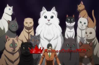 Nyaight of the Living Cat - Episódio 3