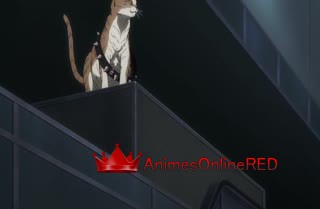 Nyaight of the Living Cat - Episódio 7